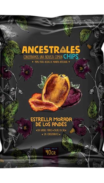 papas-fritas-nativas-40-gr-ancestrales-chips-estrella-morada-de-los-andes