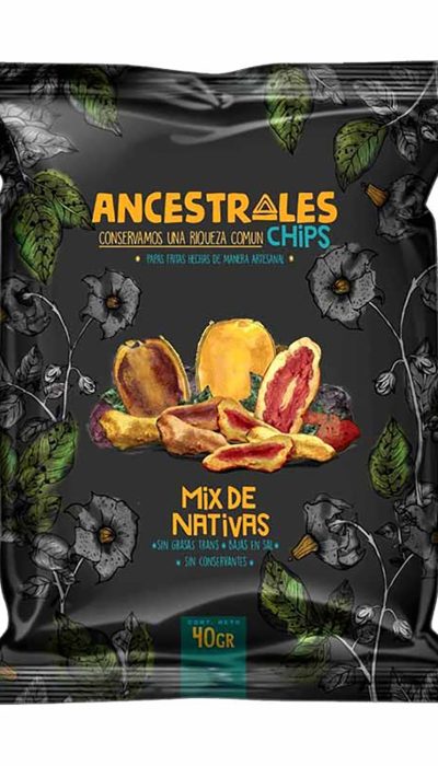 papas-fritas-nativas-40-gr-ancestrales-chips-mix-nativas